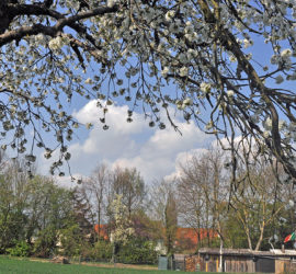 Frankfurt B&B Pension Umgebung Verkehrsanbindung DSD_8581_de
